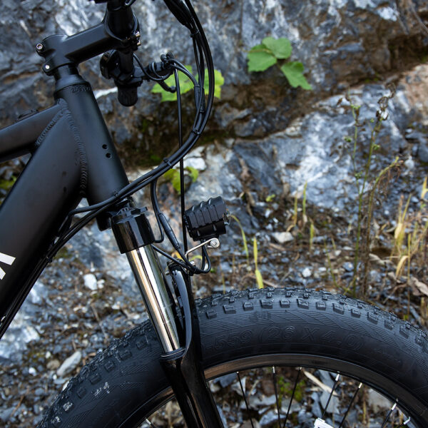 Professional Electric Bike For Adults - Image 2