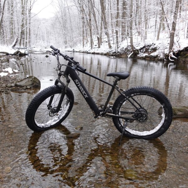Professional Electric Bike For Adults - Image 5