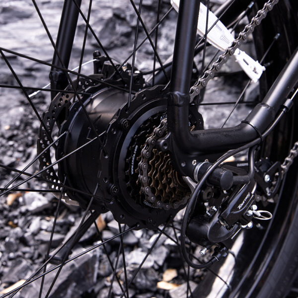 Professional Electric Bike For Adults - Image 3