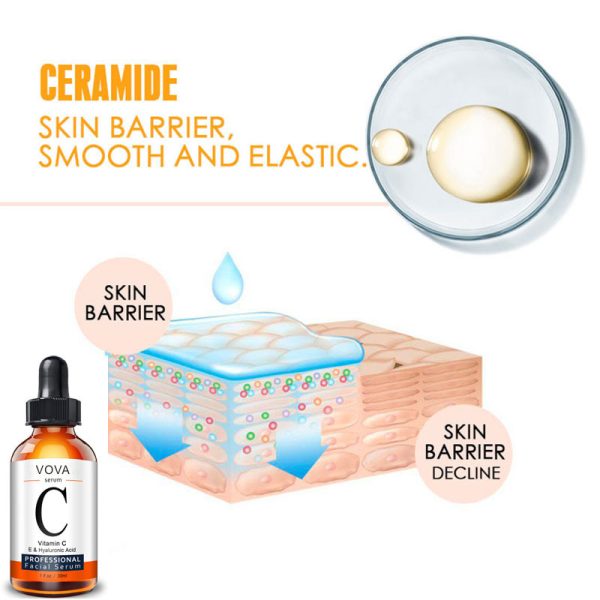 Vitamin C Facial Serum Amazon: Brighten - Image 2
