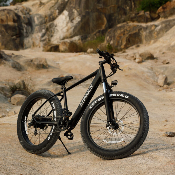 Professional Electric Bike For Adults - Image 6