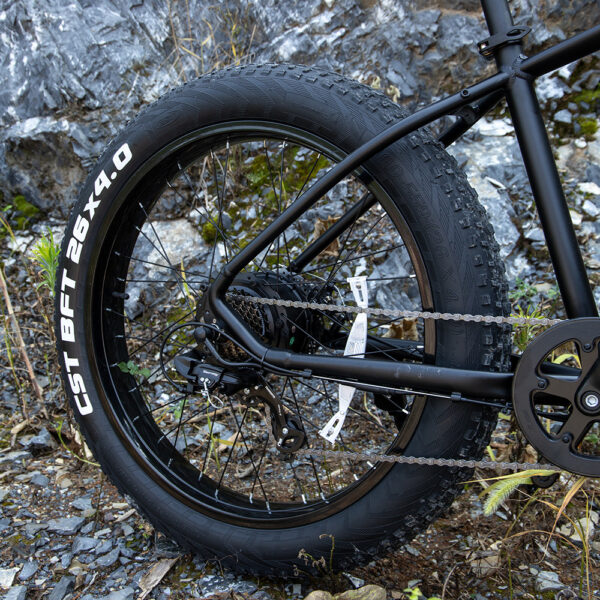 Professional Electric Bike For Adults - Image 8