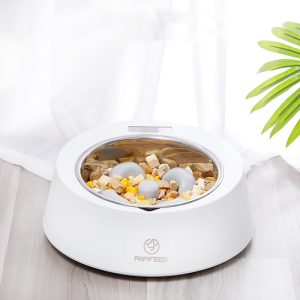 Pet Dog Bowl Slow