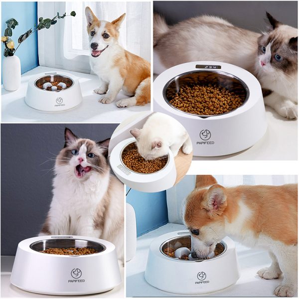 Pet Dog Bowl Slow – Image 4