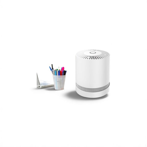 portable air purifier