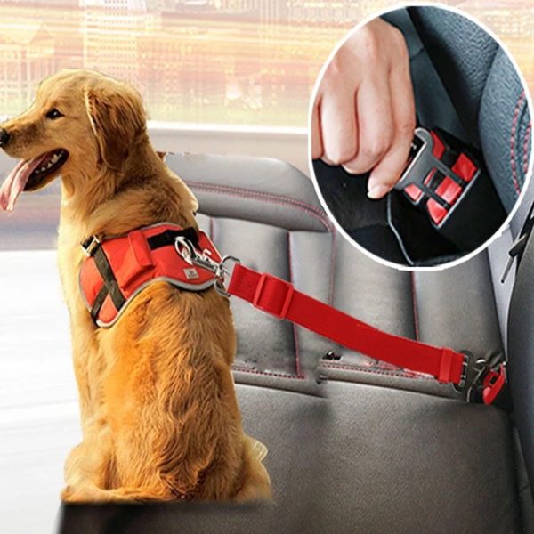 Adjustable Pet Cat