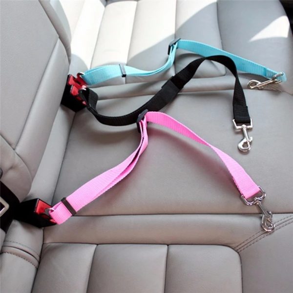 Adjustable Pet Cat – Image 5